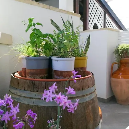 Bed and breakfast Casa Flora -