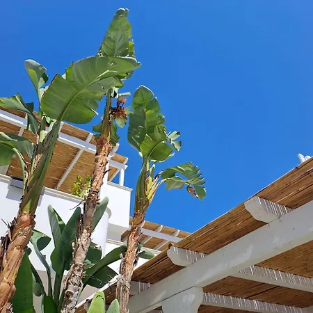 Bed and breakfast Casa Flora - 4*