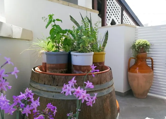 Bed & Breakfast Casa Flora -