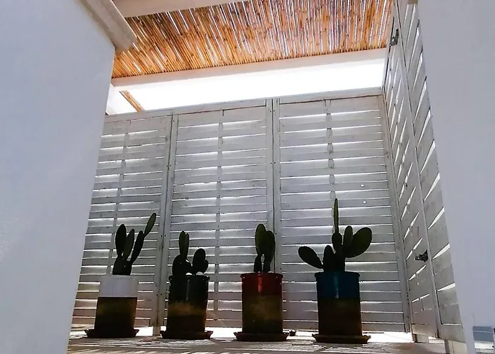 Casa Flora -